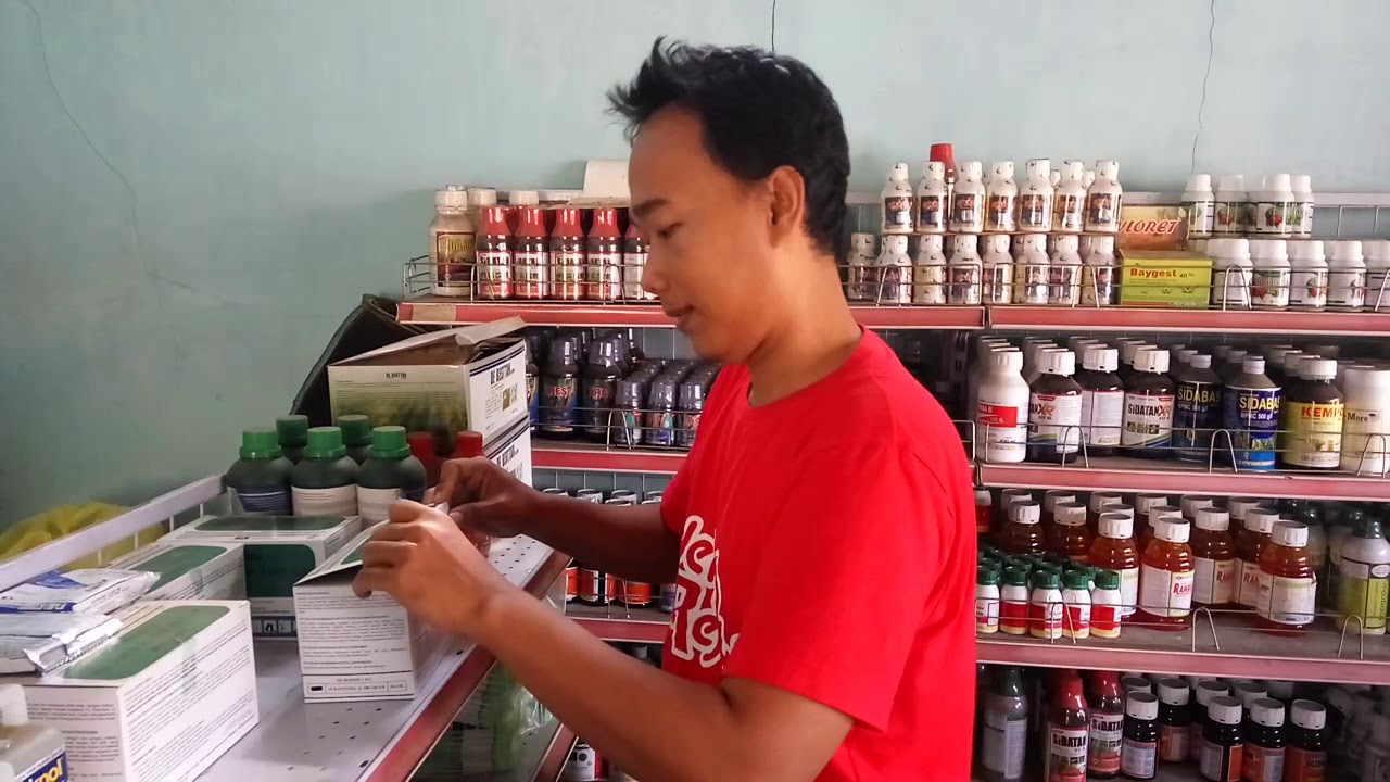 Pengadaan Barang Jasa 2026: Rahasia PBJ yang Dijemput ke OPD
